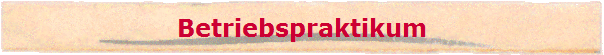 Betriebspraktikum