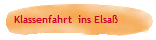 Klassenfahrt  ins Elsa�