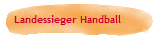 Landessieger Handball