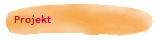 Projekt